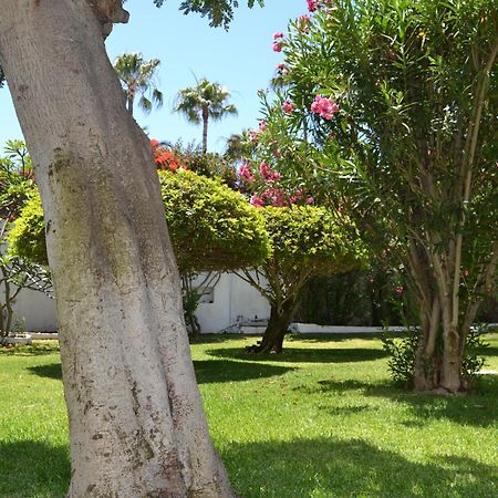 Apartamentos Don Quijote Playa del Inglés Exterior foto