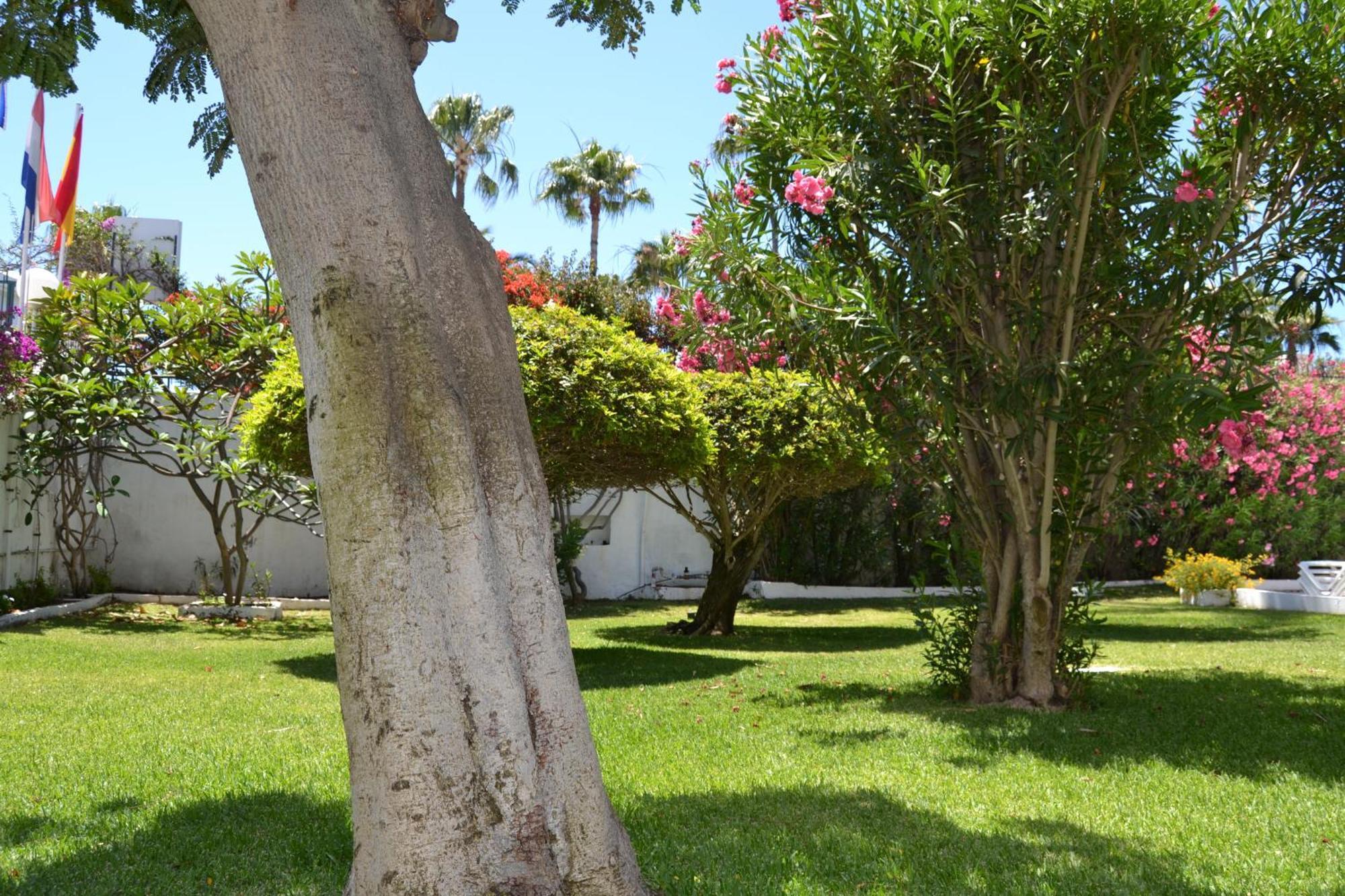 Apartamentos Don Quijote Playa del Inglés Exterior foto